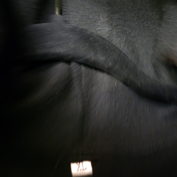 Source Unknown Black Hoodie - Picture 3 of 5